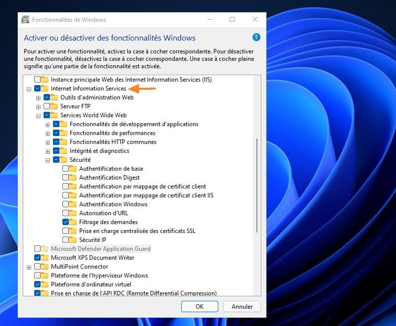 Installer IIS Windows 11