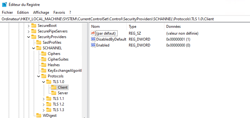 Registre Windows - Protocole TLS - Config