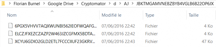 cryptomator6