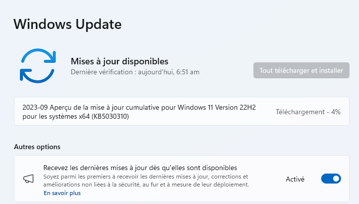 Windows 11 22H2 KB5030310