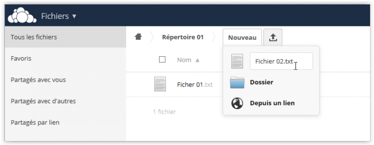 Création de fichiers pour tester la synchronisation synchronisation-serveur-owncloud-205728