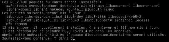apt-get install docker.io docker1