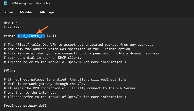 Mettre à jour l'adresse IP dans le fichier OVPN