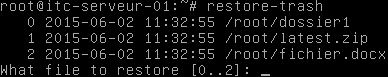 Fichiers et dossiers pouvant être restaurés trash-linux-02