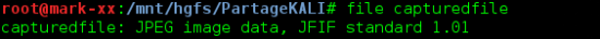 Détection du type de fichier via la commande file reconstruire fichier pcap wireshark