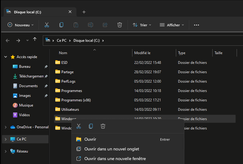 Windows 11 onglets explorateur