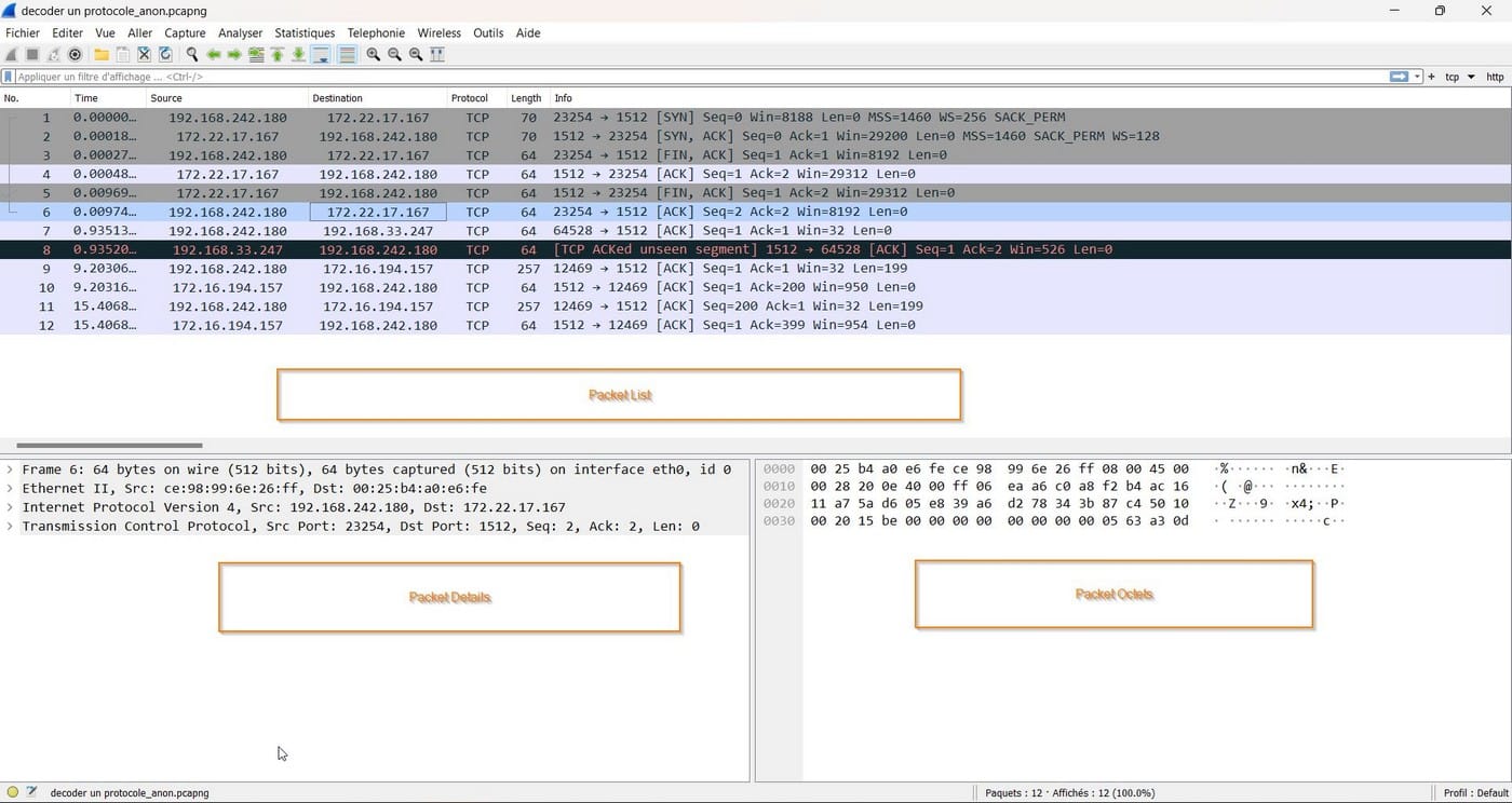 Wireshark - Packet octets