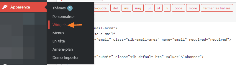 WordPress SendInBlue - Widgets du formulaire