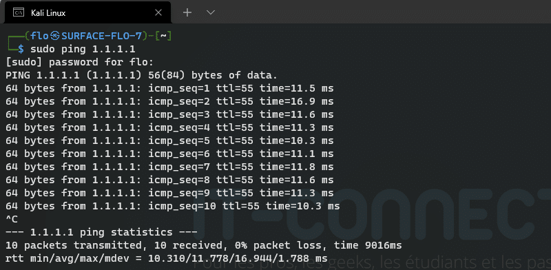 Exemple d'un ping sous Linux