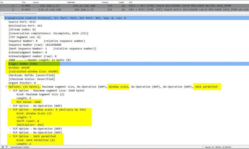 Analyse trame TCP avec Wireshark - Les différentes options