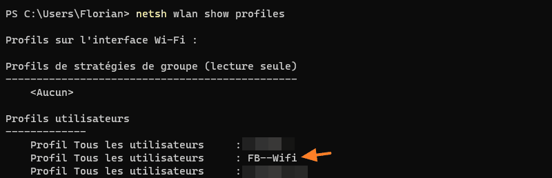 Windows - Netsh lister les profils WiFi
