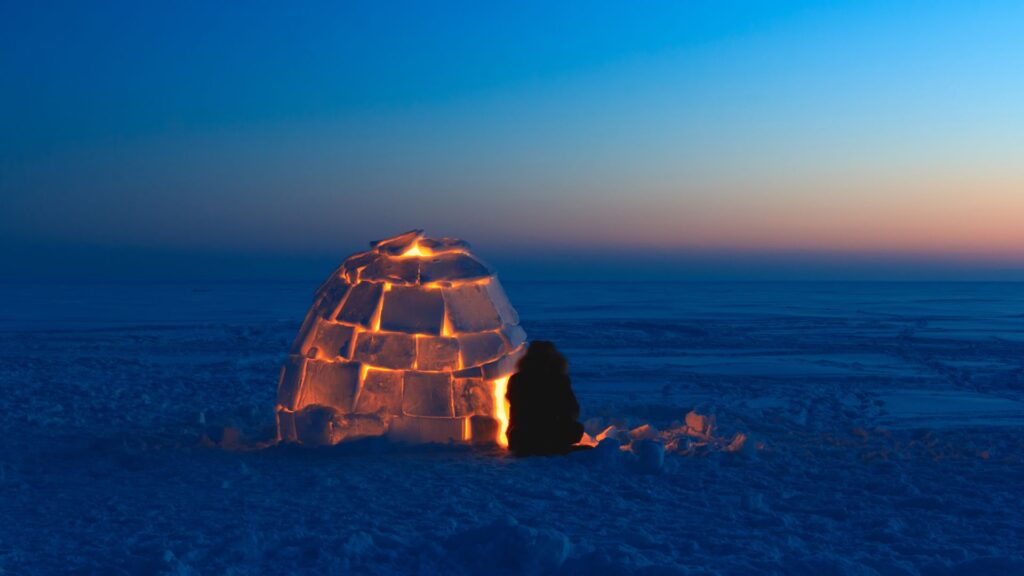 igloo froid arctique