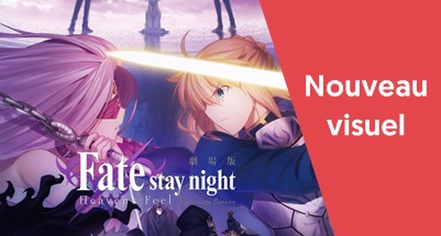 Un nouveau visuel pour Fate/stay night: Heaven's Feel