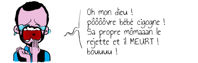 Oh mon dieu ! pôôôôvre bébé cigogne ! Sa propre mômaaan le rejette et il MEURT ! bouuuu !