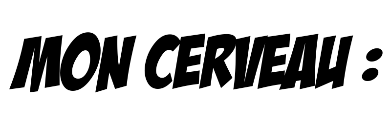Mon cerveau :