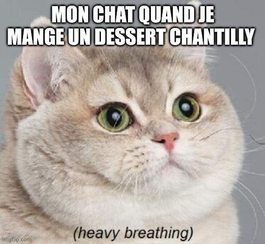 meme heavy breathing «mon chat quand je mange un dessert à la chantilly»