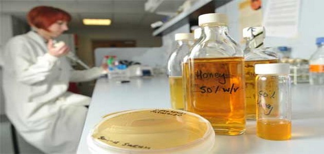Découverte d’un mystérieux miel qui tue toutes les bactéries